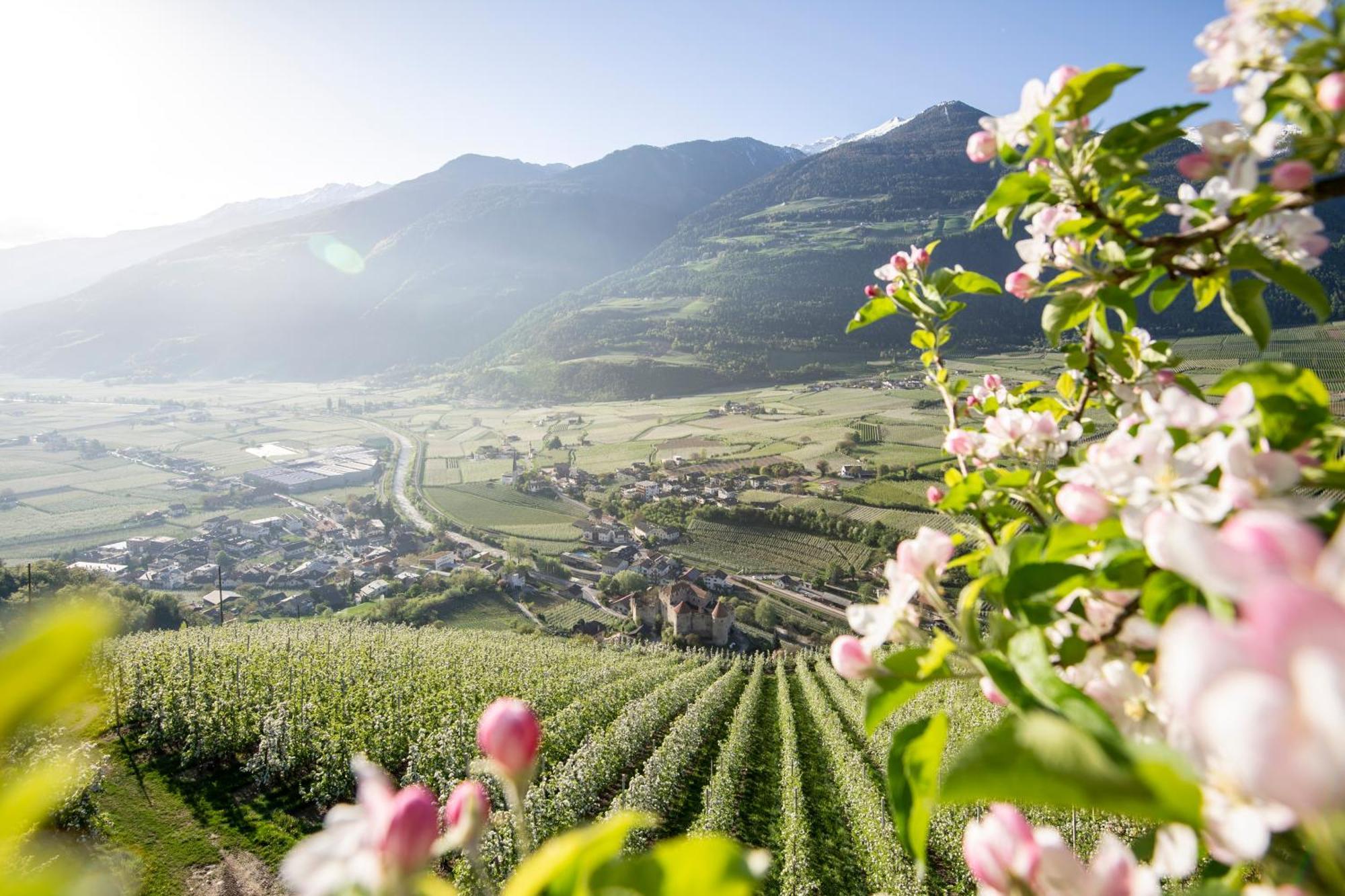 Lindenhof Pure Luxury & Spa Dolcevita Resort Naturns Exterior foto